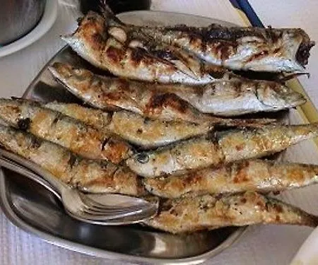 Apartmán Torralta *
